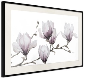 Artgeist Plagát - Painted Magnolias [Poster] Veľkosť: 90x60, Verzia: Zlatý rám