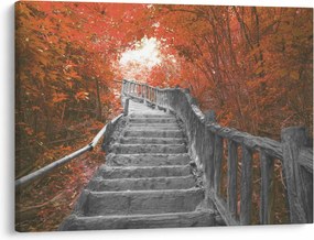 Obraz - Schody v prírode, oranžová (70x50 cm)