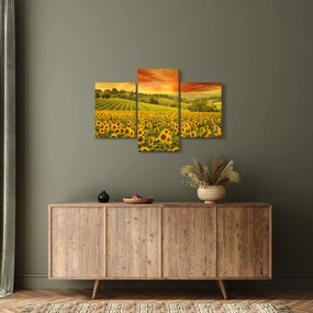 Obraz - Slnečnicové pole (90x60 cm)