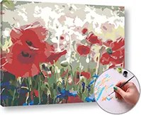 Maľovanie podľa čísel ABSTRACT WILD MAKES