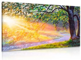 Obraz východ slnka v lese