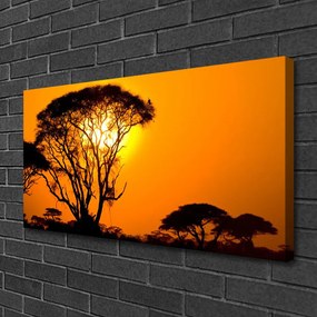 Obraz na plátne Strom slnko príroda 125x50 cm