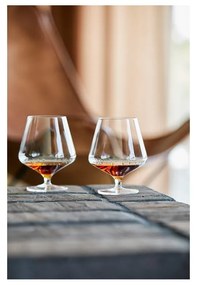 Poháre na likér v súprave 2 ks 450 ml Rocks - Zone