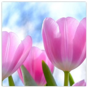 Obraz ružových tulipánov