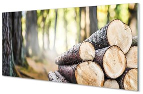 Sklenený obklad do kuchyne Drevo prales prírode 125x50 cm
