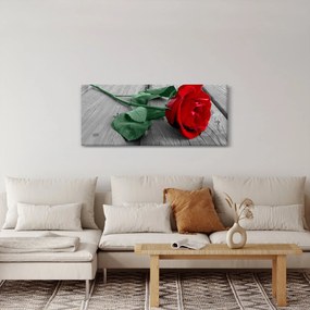 Obraz - Červená ruža so zelenou stonkou (120x50 cm)