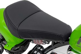 Ramiz Chopper Warrior Zelený motocykel