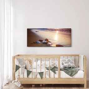 Obraz - Mušle (120x50 cm)