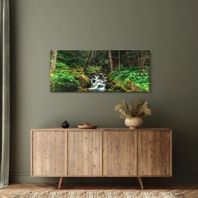 Obraz potoka v lese (120x50 cm)