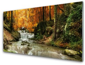 Obraz plexi Vodopád les príroda 100x50 cm