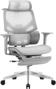 Kancelárska stolička Expert 8.7 Grey Mesh