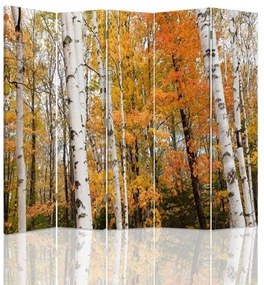 Gario Paraván Brezový les na jeseň Rozmery: 180 x 170 cm, Prevedenie: Otočný paraván 360°