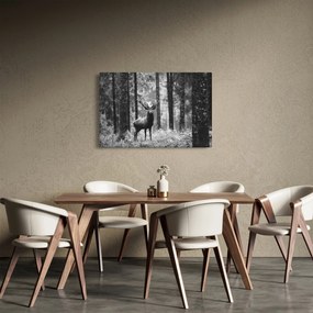 Obraz - Jeleň v lese 2, čiernobiela (90x60 cm)