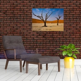 Sklenený obraz - Údolie smrti (70x50 cm)