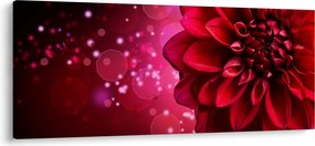 Obraz červené kvety (120x50 cm)