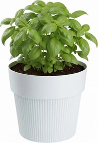 Květináč SILVA LINE 17,4x20 cm bílý