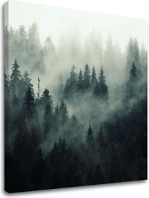 Obraz na stenu HORY_050-12