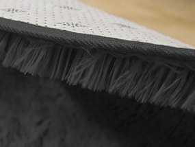 TZ Tmavosivý obdĺžnikový shaggy koberec Lana Rozmer: 200x300