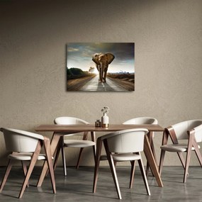 Obraz slona (70x50 cm)