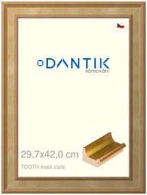 DANTIK rám na obraz 29,7x42 | TOOTH malá zlatá (Plexi Čiré)