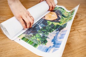 Gario Diamantové maľovanie Vydiamantuj si svoju fotku Rozmery: 50 x 50 cm, Rámovanie: S vnútorným rámom, Diamanty: Okrúhle