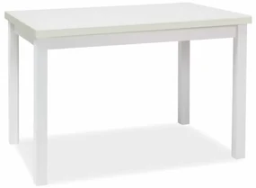 Jedálenský stôl Adam 120 x 68 cm, biela