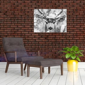 Obraz - Jeleň v zime (70x50 cm)
