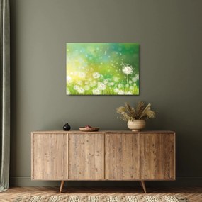 Sklenený obraz - Odkvitnuté púpavy (70x50 cm)