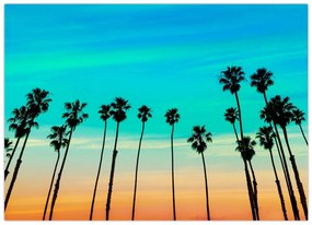 Obraz - Kalifornia (70x50 cm)