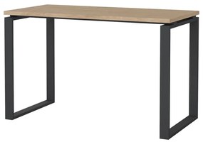 Pracovný stôl s doskou v dubovom dekore 60x120 cm Sign – Tvilum