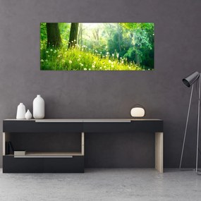 Obraz - Magická lúka plná púpav (120x50 cm)