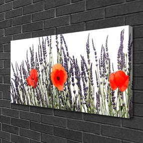 Obraz Canvas Kvety maky pole trávy 120x60 cm