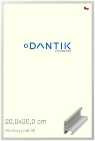 DANTIK rám na obraz 20x30 | ALU Dýha barevná šedá světlá (Sklo Čiré)