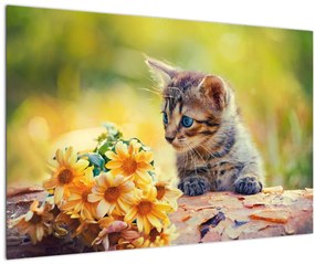 Obraz mačiatka pozerajúce sa na kvetinu (90x60 cm)