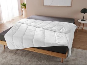 LIVARNO home Prešívaná prikrývka, 200 x 220 cm (100358769)