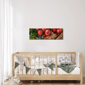 Obraz jarabiny a škorice (s hodinami) (90x30 cm)