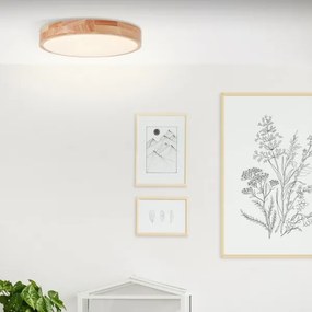 Brilliant - LED stropné svietidlo SLIMLINE LED/22W/230V, priemer 39 cm, gumovník