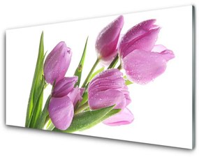 Skleneny obraz Tulipány kvety rastlina 125x50 cm
