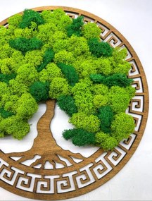 Strom na stenu z machu Excalibur 30 cm