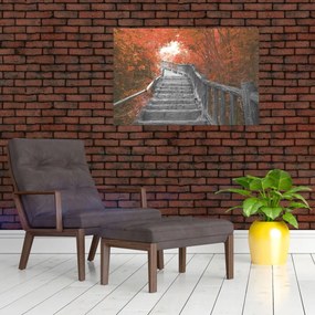 Obraz - Schody v prírode, oranžová (90x60 cm)