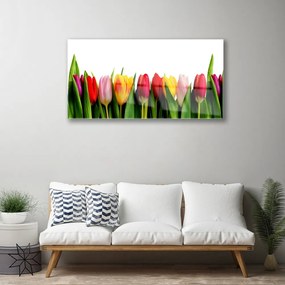 Obraz na skle Tulipány rastlina 100x50 cm