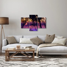 Obraz - Stromy pri západe slnka (90x60 cm)