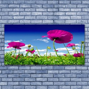 Obraz plexi Lúka kvety nebo príroda 120x60 cm