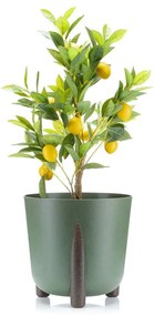 PLASTOVÝ KVETINÁČ MOSS ECO 32X34 CM ZELENÁ