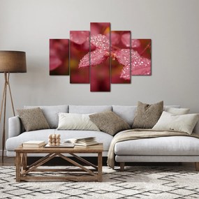 Obraz - Makro snímka lístka (150x105 cm)