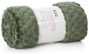 DEKA Z MIKROFLANELU CINDY6 170X210 CM OLIVOVÁ