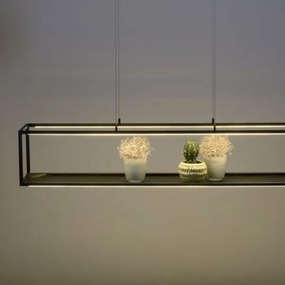 Paul Neuhaus 2441-18 - LED Stmievateľný luster na lanku CONTURA 4xLED/8W/230V