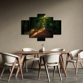 Obraz lesnej cesty (150x105 cm)
