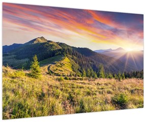 Obraz - Lesná krajina (90x60 cm)