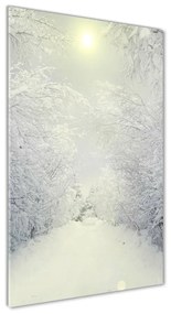 Vertikálny foto obraz akrylový na stenu Les zima oav-103882841